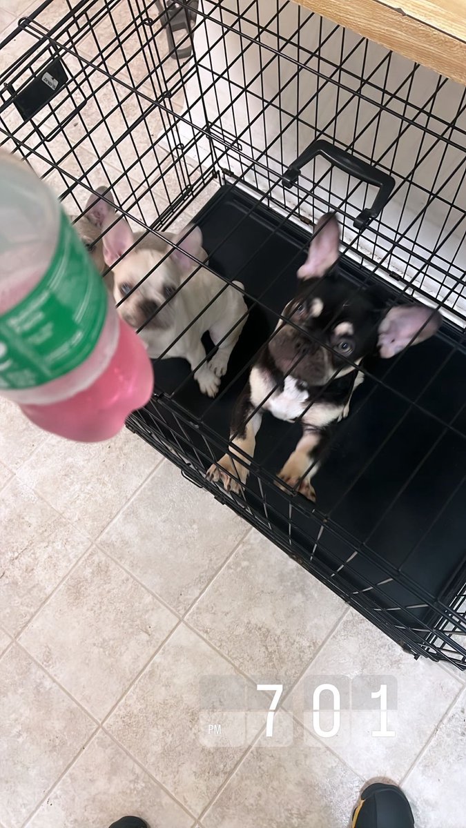 Nottherealloaf's tweet photo. 🥶💕 https://t.co/LYUue7uv0Q