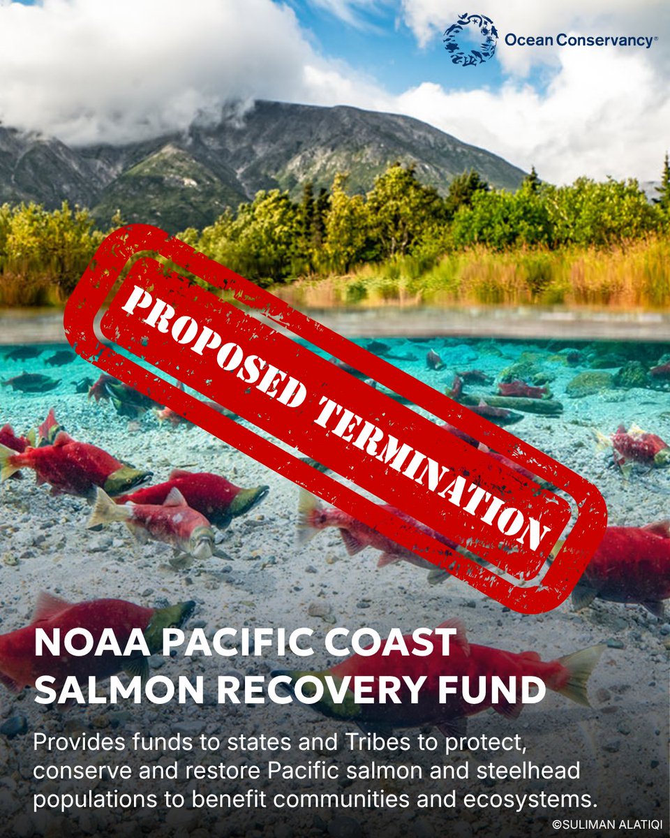 Ocean Conservancy tweet media