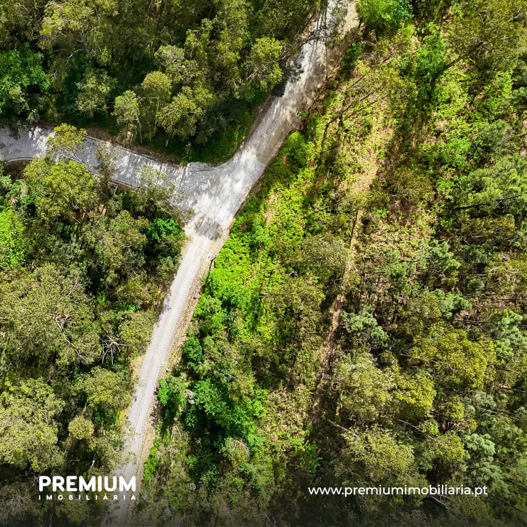 premiumimo22 tweet picture