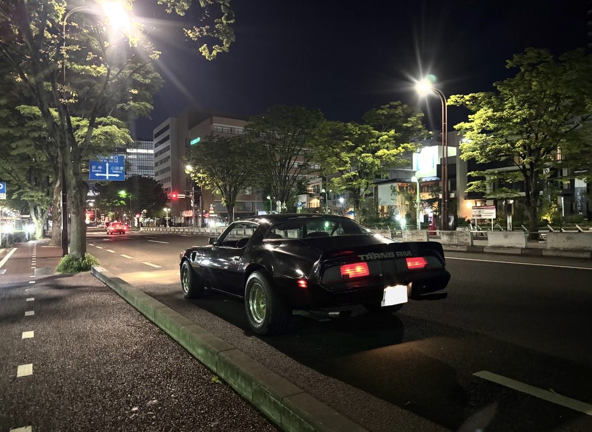 455_80TransAm's tweet photo. 徘徊 https://t.co/FsAy8vQ3De