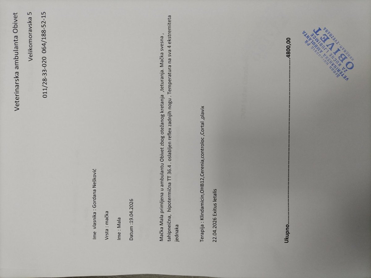 Gordana Neskovic tweet media