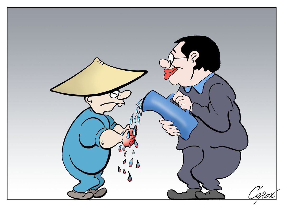 Bravo Corax.