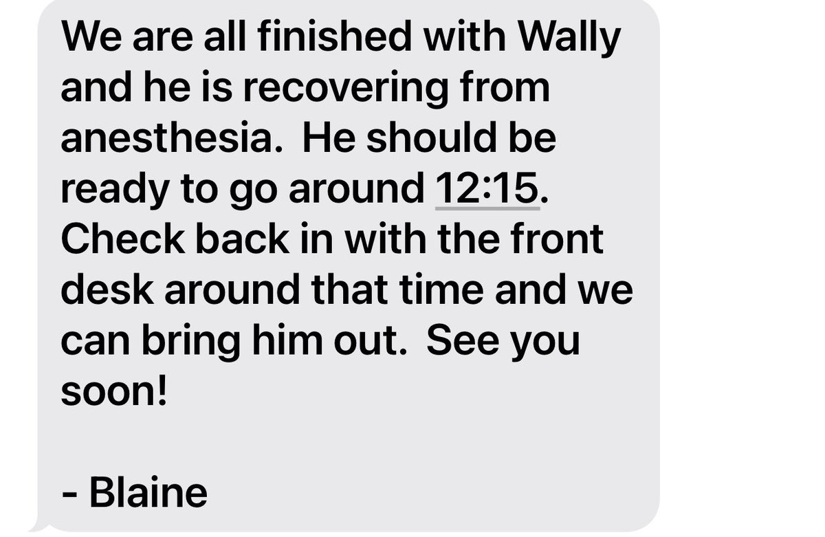 gal_dawg's tweet photo. 4 down 16 to go!
#PrayforWally
#BirthdayBoy
#Happy10
#UFVetMed https://t.co/YNeXMmsjvA