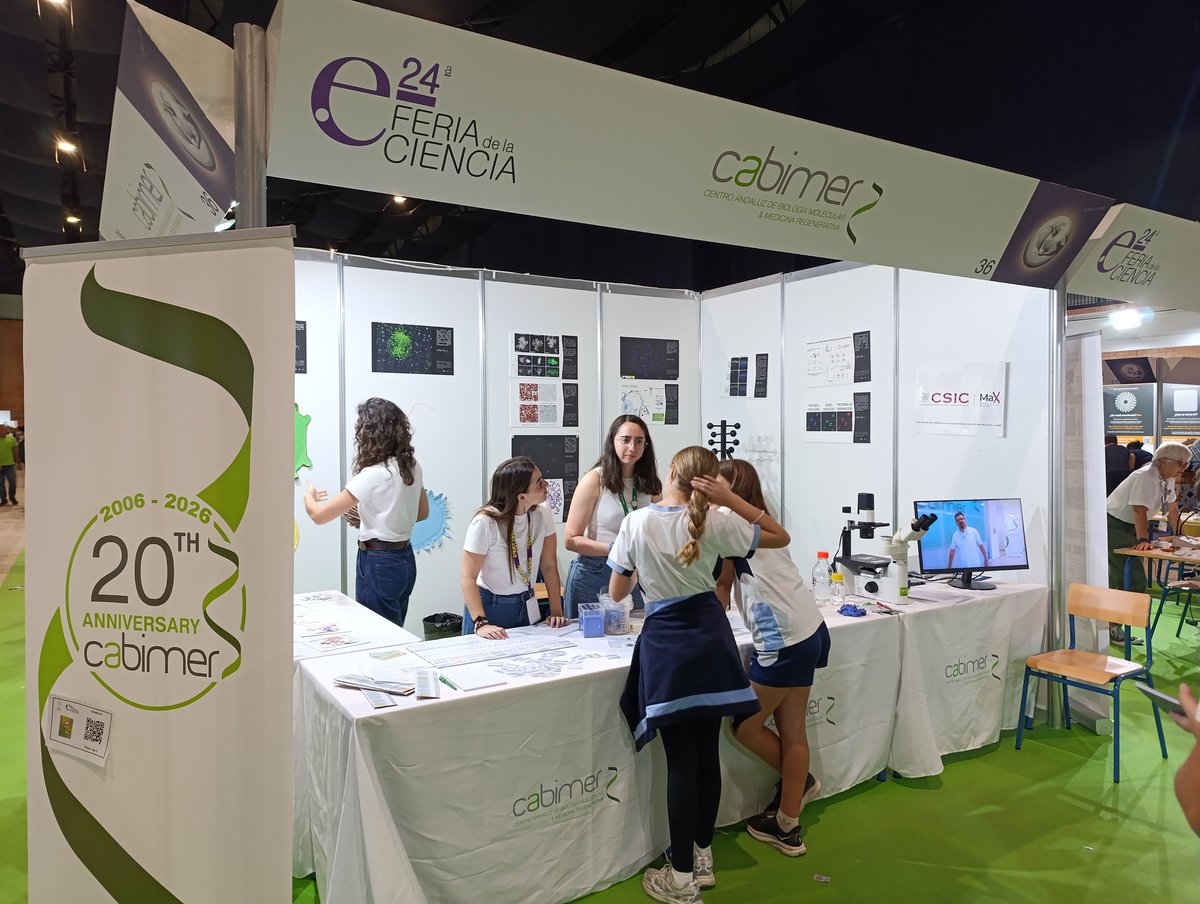 a_amiama's tweet photo. #24FeriaCiencia Estamos en el stad 36!
Acercaros a poner a prueba vuestros conocimientos de las células, intentad descifrar el código genético y maravillaros con nuestros cortes de tejidos al microscopio 
@FeriaCiencia @cabimer https://t.co/DhFGyFhoPI
