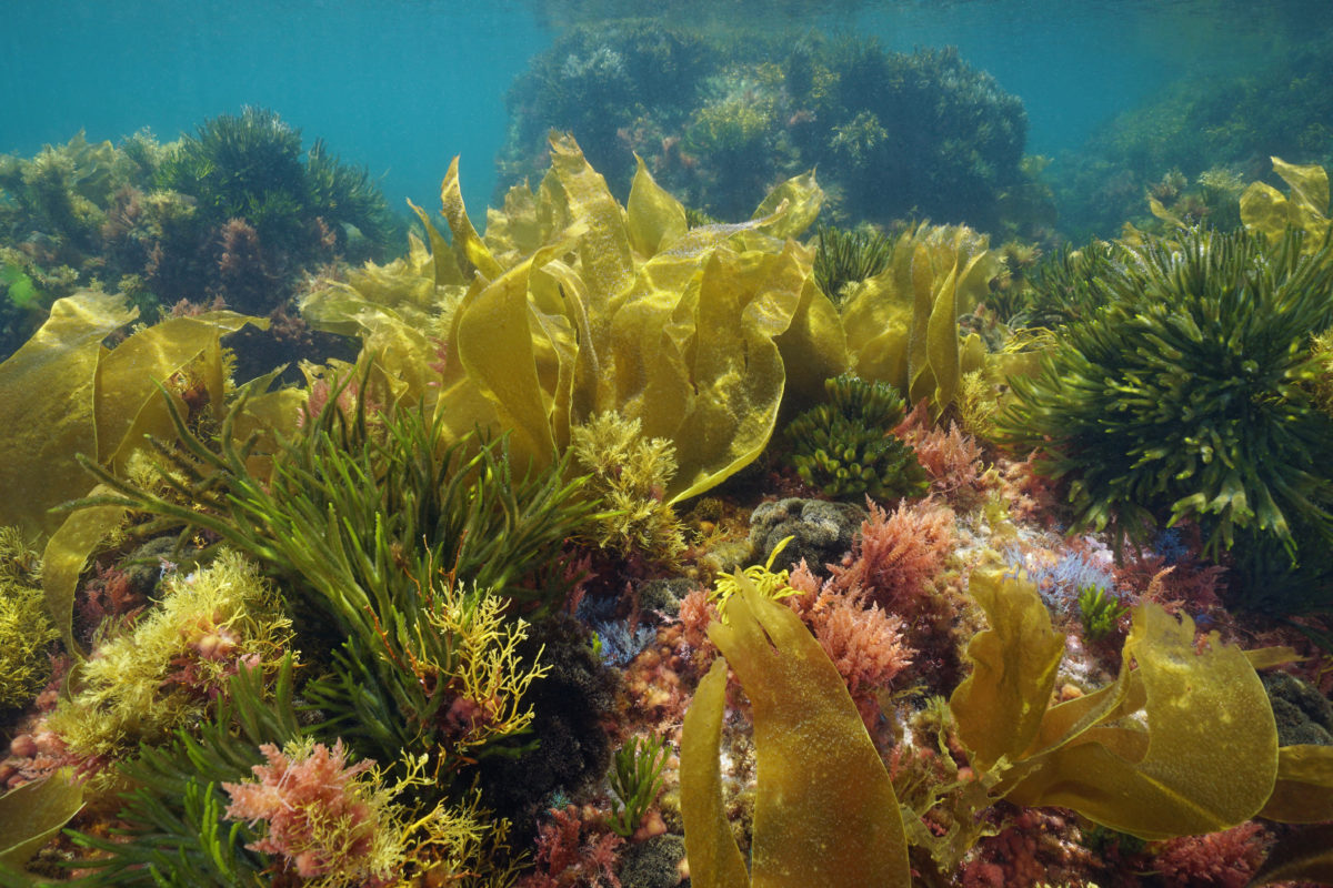 LMGratton's tweet photo. Plantes aquatiques.
https://t.co/7FyxBsOmke https://t.co/H37atFohun