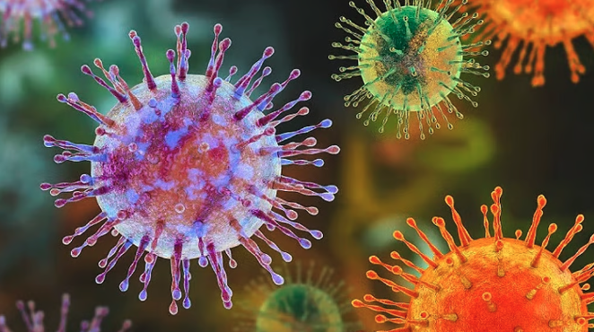 🚨 Countries scrambling to trace spread of hantavirus after virus spreads beyond cruise ship

Link in thread 🧵