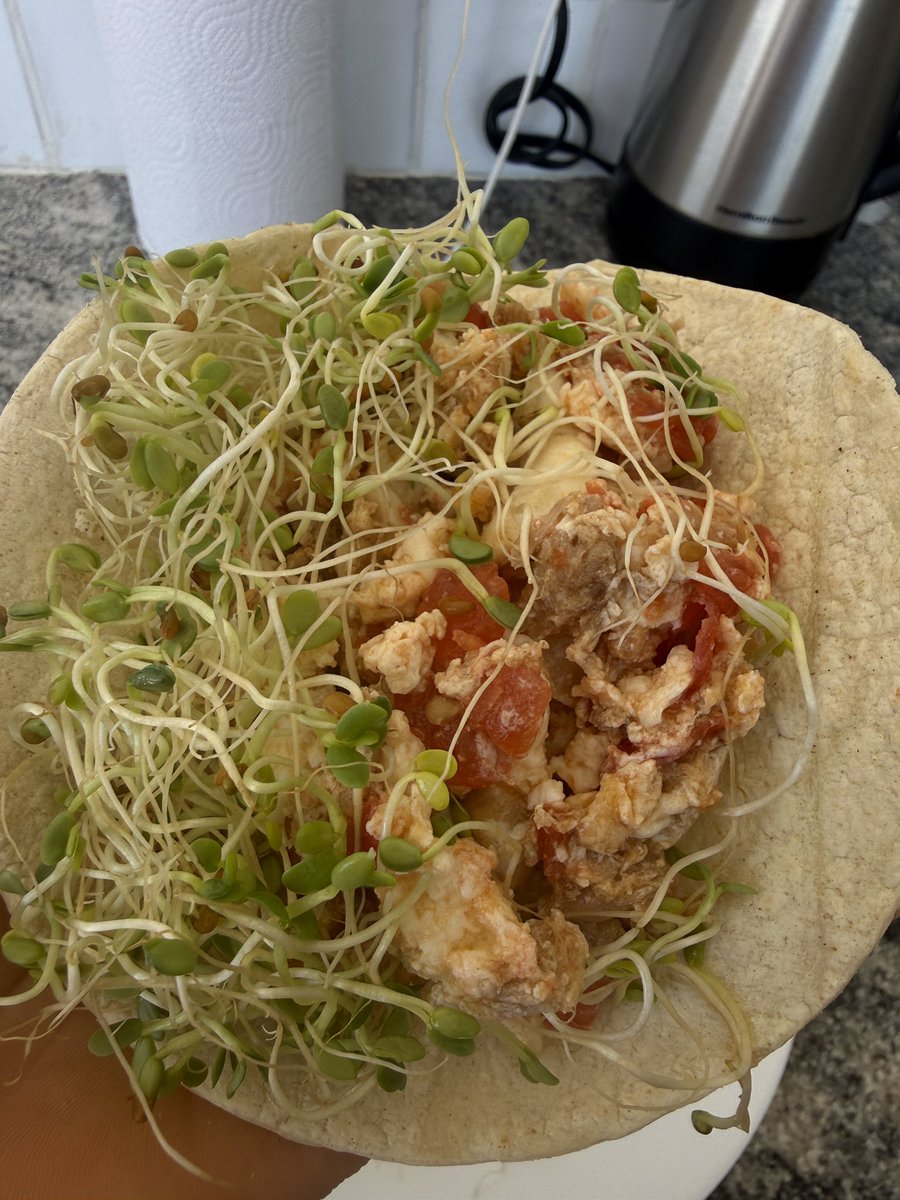 Disfruten su comida