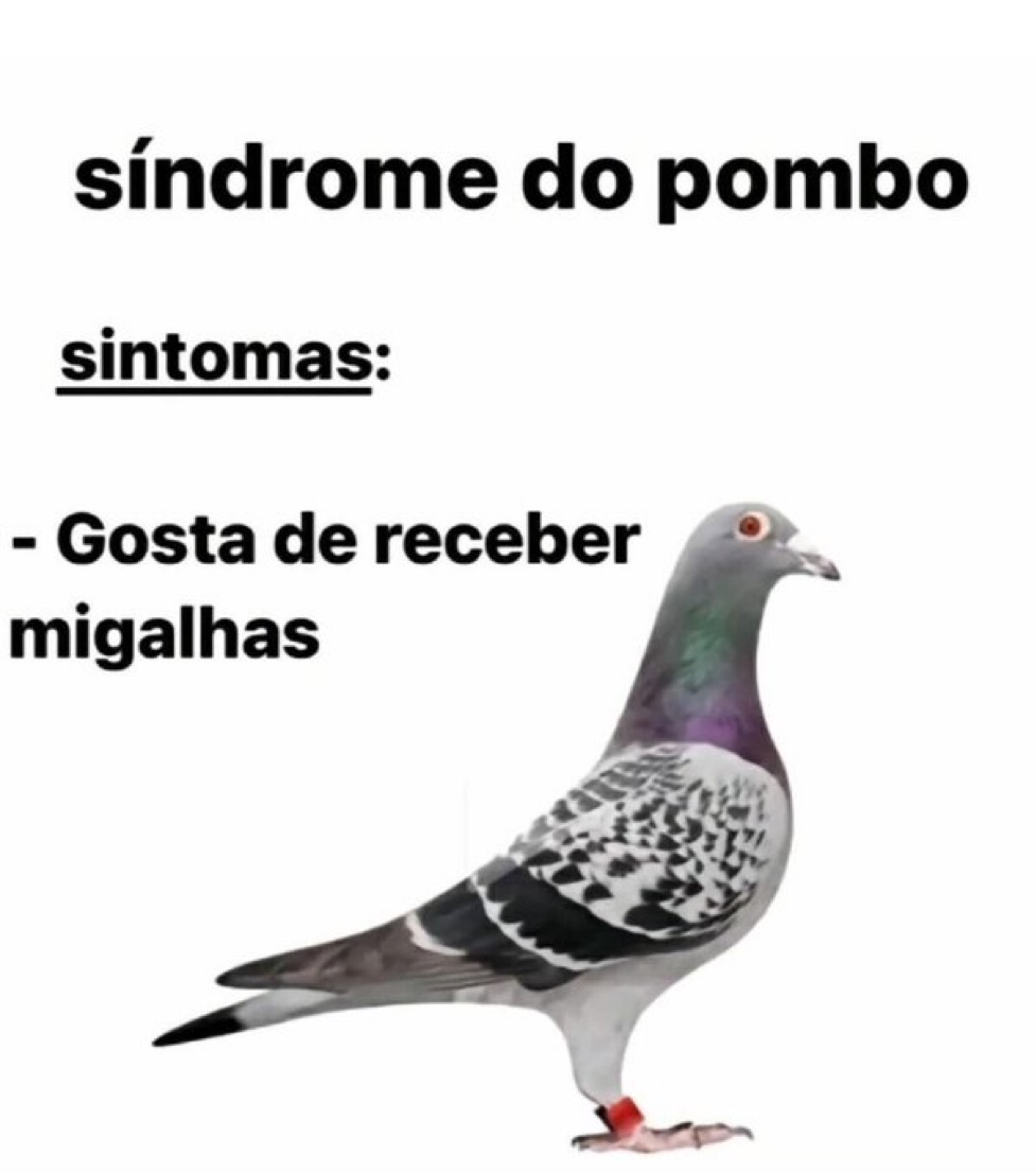 Se você rir, vai pro inferno tweet media