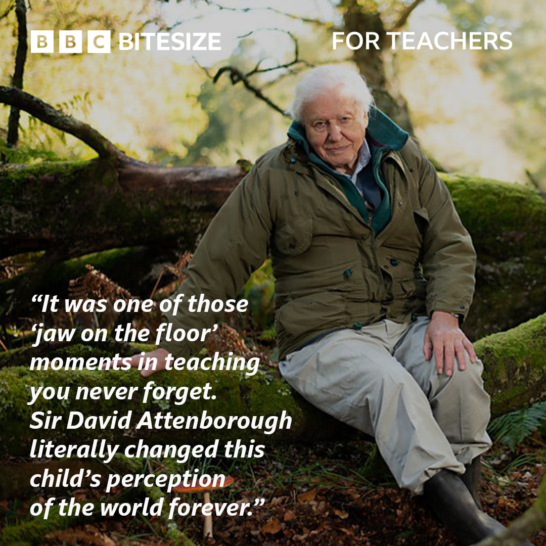 BBC Bitesize for Teachers tweet media
