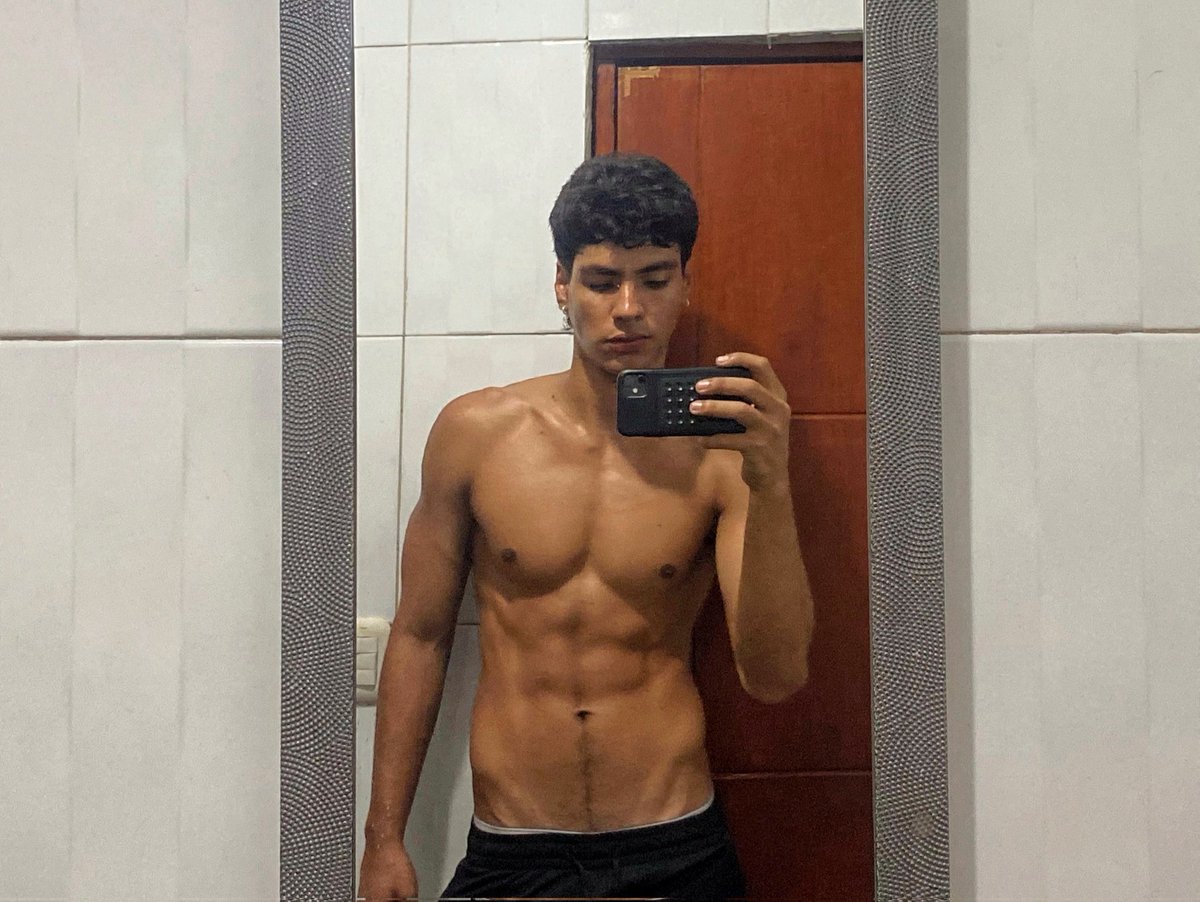 gatinho
