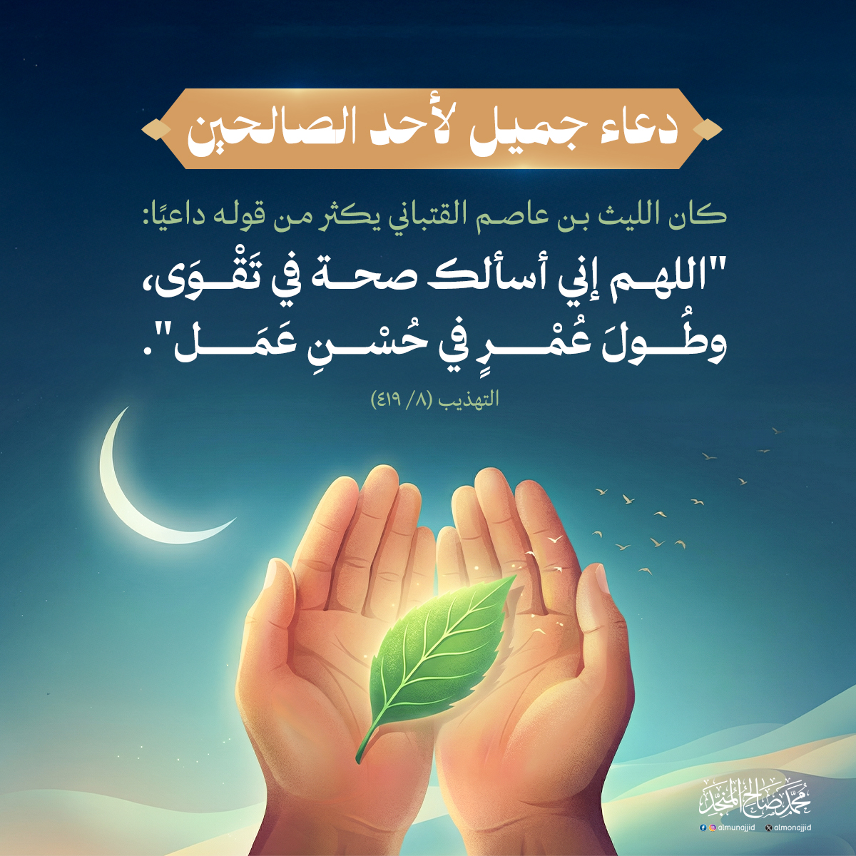 محمد صالح المنجد tweet media