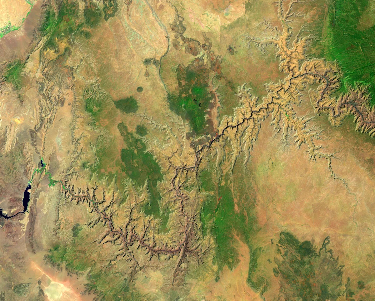 Aerial view of the vast of the Grand Canyon landscape with scattered green vegetation patches.