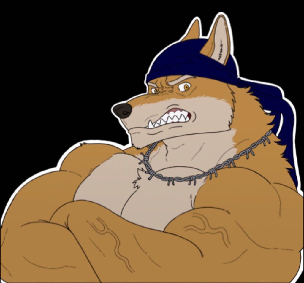 Wolfplot tweet media