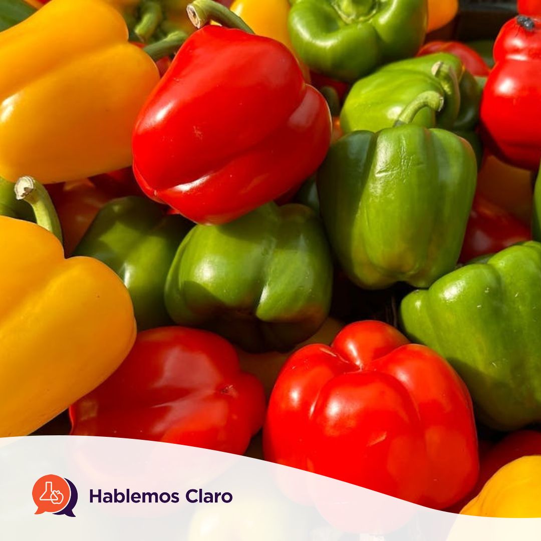 Si bien no existe una recomendación específica sobre el consumo ideal de antioxidantes, se sugiere incorporarlos de manera cotidiana a través de la alimentación, así como los hábitos que acompañan la alimentación. buff.ly/6VfsGU7 #Antioxidantes #Alimentacion