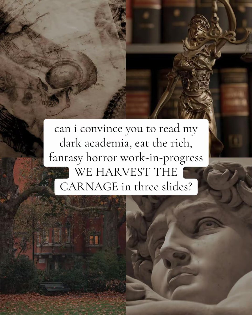 rihdaraklay's tweet photo. a glimpse of what the #agentguide will look like for this WIP ... 10+ agents have shown interest so far for WE HARVEST THE CARNAGE, my dark academia "eat the rich" fantasy horror, and here's another sneak peak at what to expect when i start #querying ...

#agents #editors https://t.co/xGiOdHLuBM