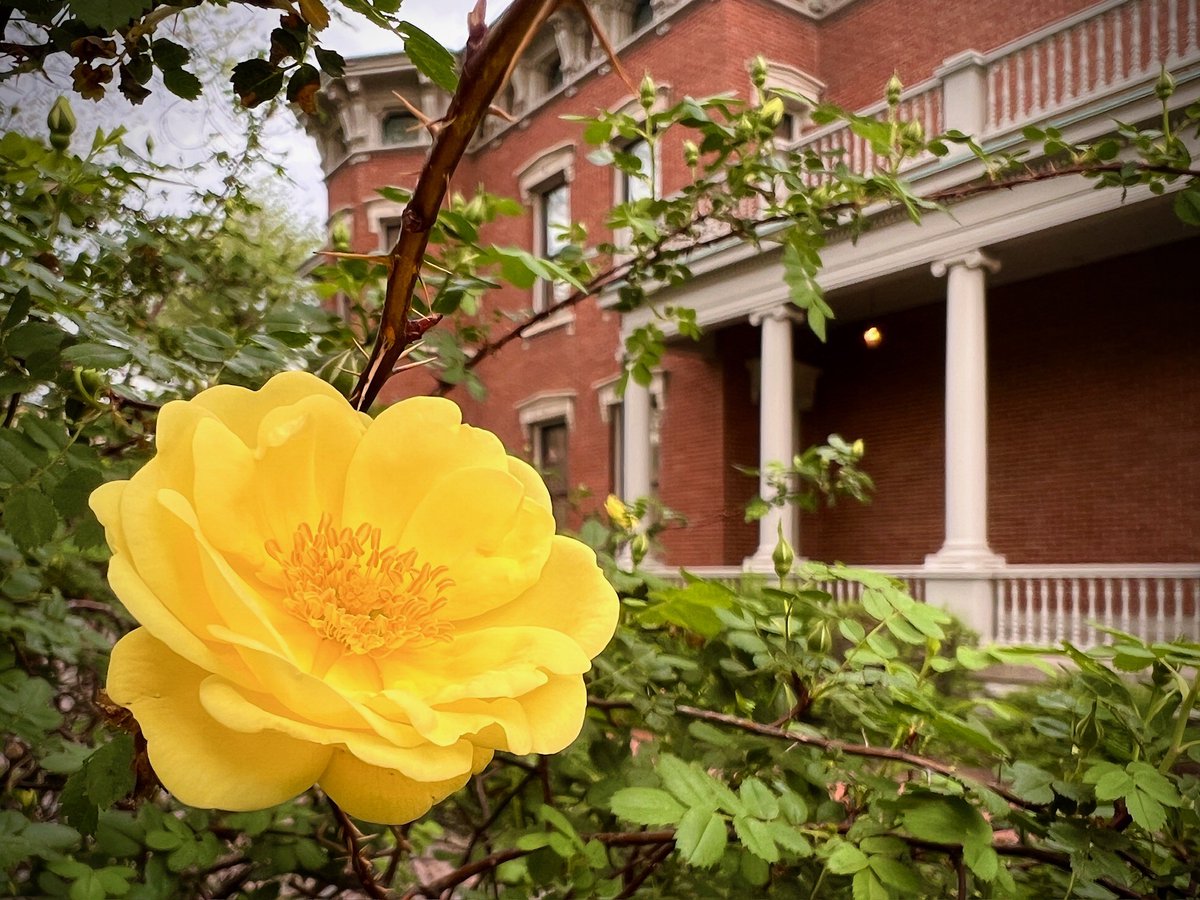 Benjamin Harrison Presidential Site tweet media