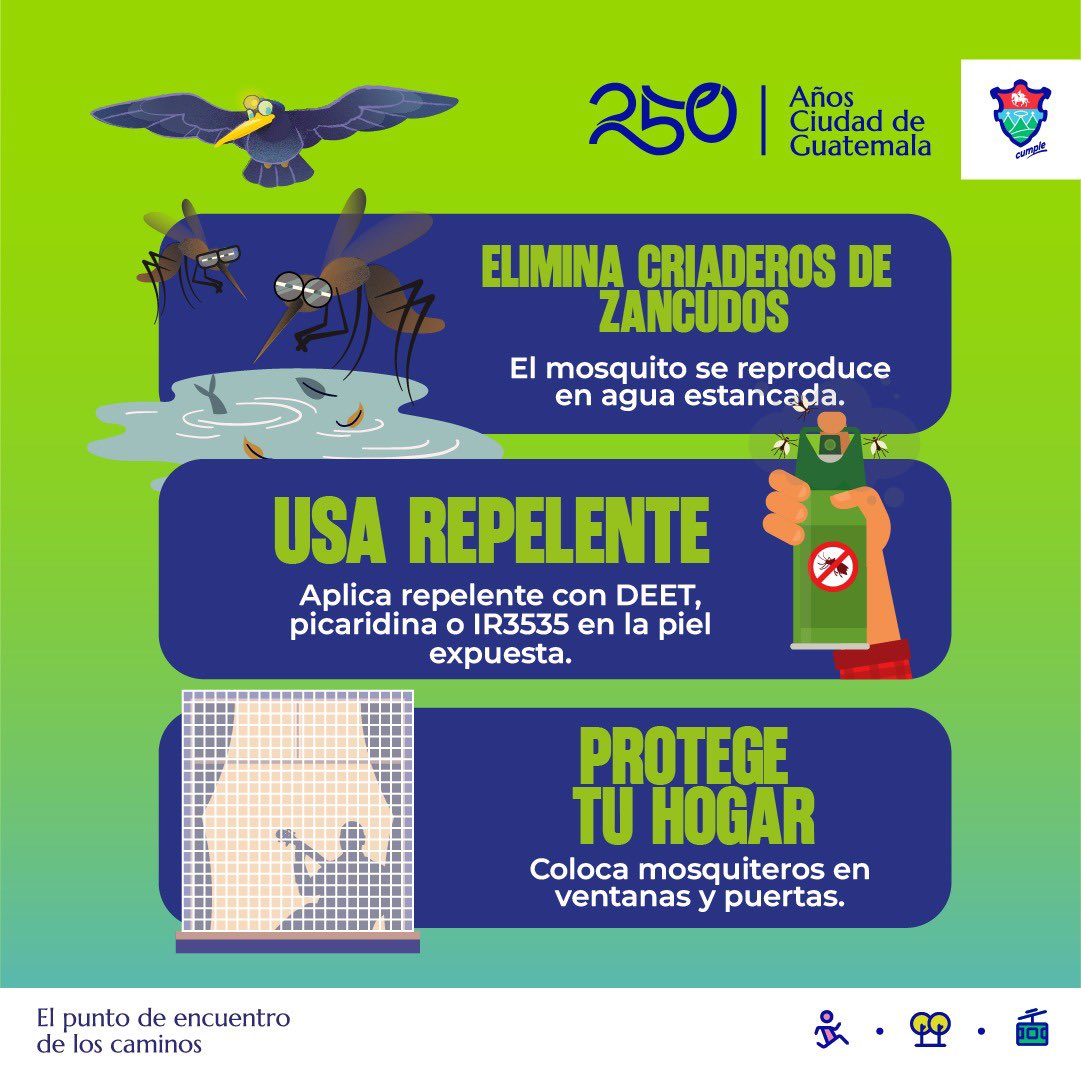 AVEMuniGuate's tweet photo. 🌧️🦟 La temporada de lluvias está por comenzar y con ella aumenta el riesgo de dengue. ⚠️
La prevención empieza antes de las lluvias. Actuar a tiempo ayuda a proteger a nuestras familias y comunidades. 💚✨

@DCH_gt 
#PrevenciónDelDengue #TemporadaDeLluvias https://t.co/65L2xYeWrz