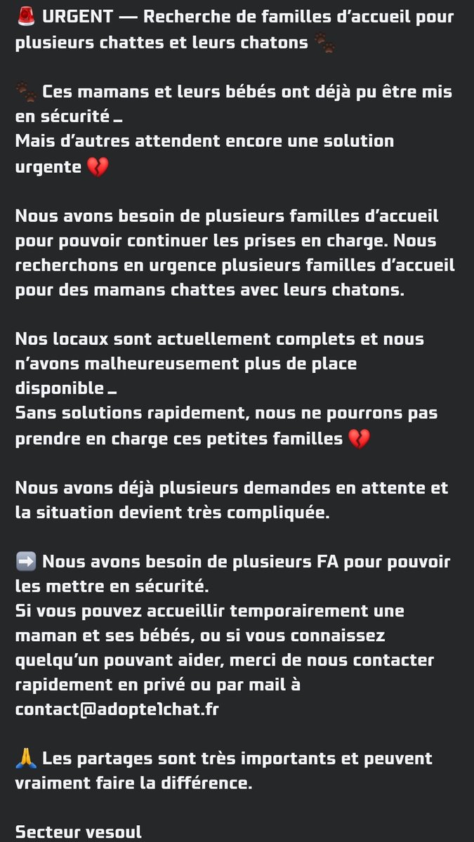 ADOPTE 1 CHAT tweet media