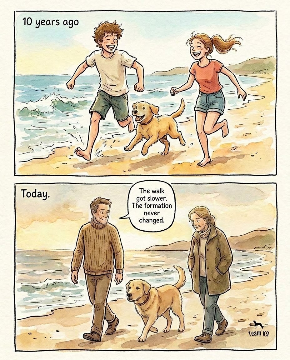 pawprintsdaily3's tweet photo. https://t.co/ZfmYReWqnv