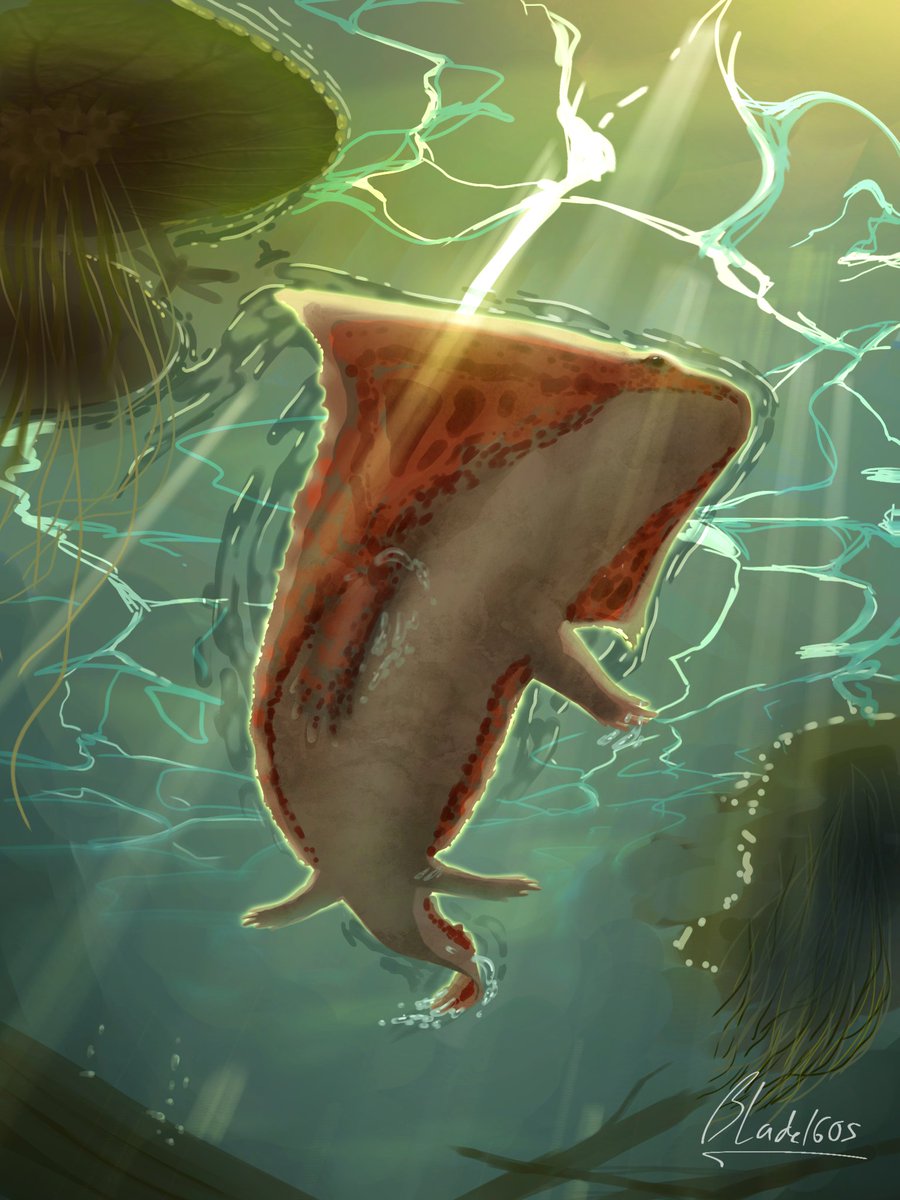 balaenia_yui's tweet photo. A Diplocaulus gliding through its quiet, predator-free habitat

#paleoart https://t.co/afuprycKX6