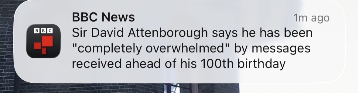 iamstevemorgan's tweet photo. Very much a polling day news story #PollingDay #LocalElections https://t.co/eEJI2vc0wQ