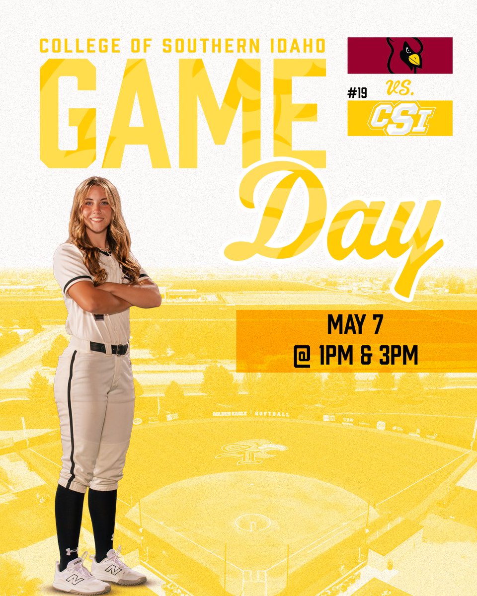 CSI Softball tweet media