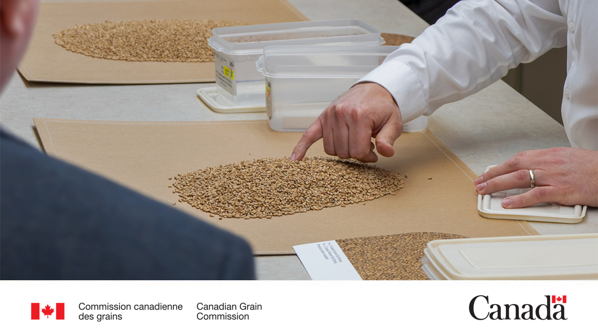 Commission canadienne des grains tweet media