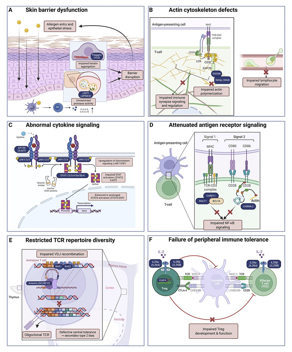 Journal of Human Immunity tweet media