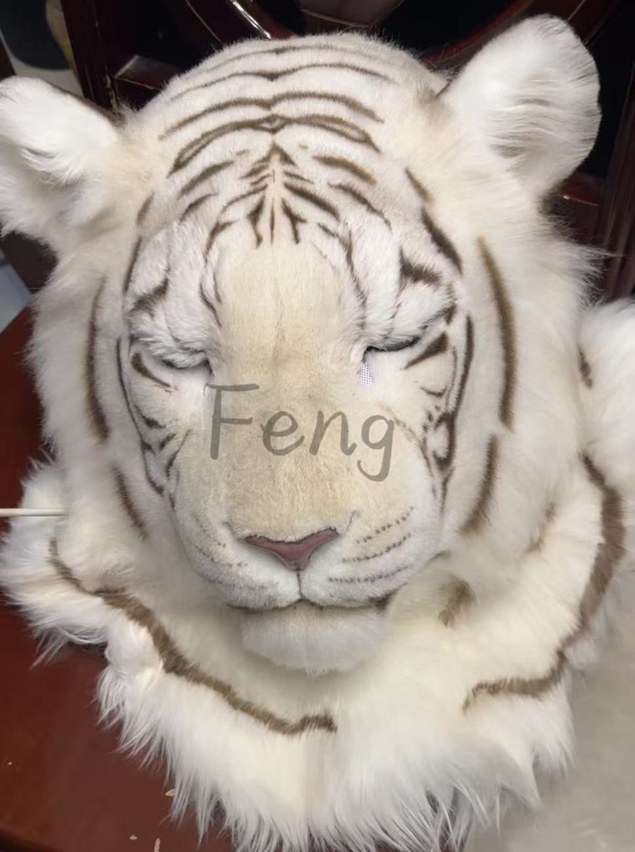 ✨✨【fursuit premade】✨ This is a proxy sale⭐️Priced at $2800, Excluding postage✨Only the head, Movable eyelid⭐️ ✨Head height is 25cm-,head circumference 58cm-❤️ ✨If you want to purchase, welcome DM #FursuitEveryday #fursuit #兽装