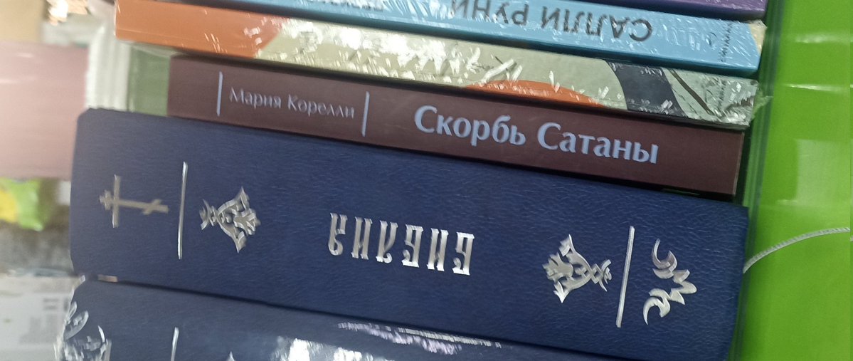 глазированный сырок🐢🍀 tweet media