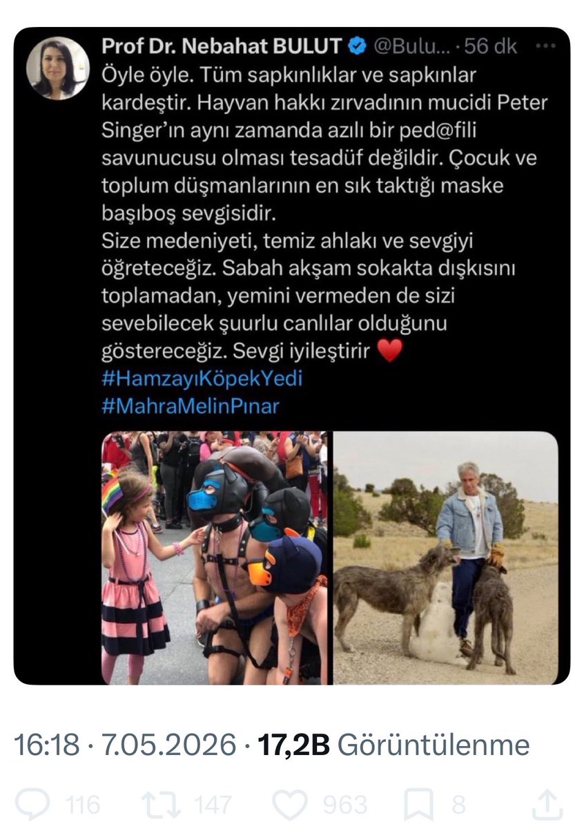 Prof Dr. Nebahat BULUT tweet media