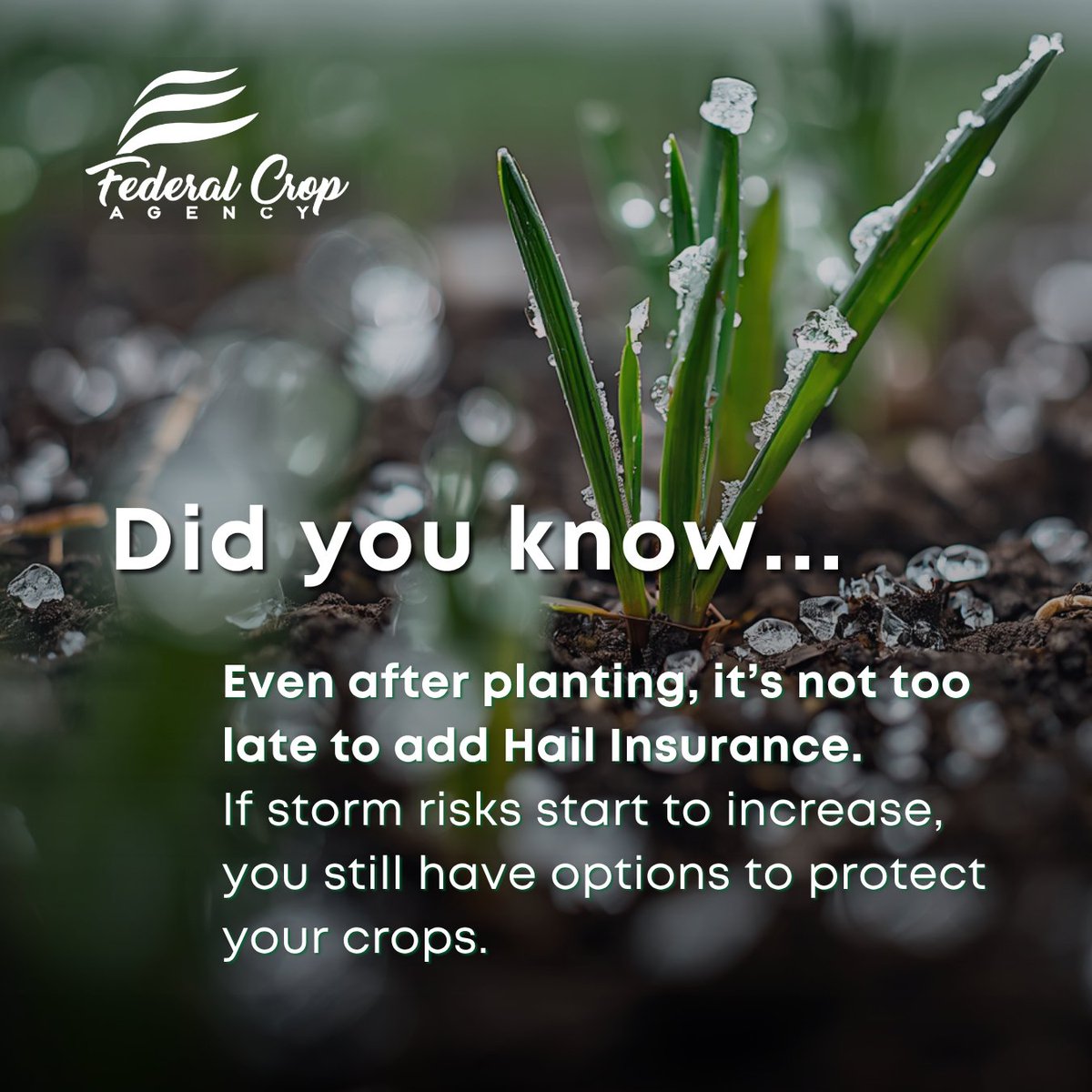 Federal Crop Agency tweet media