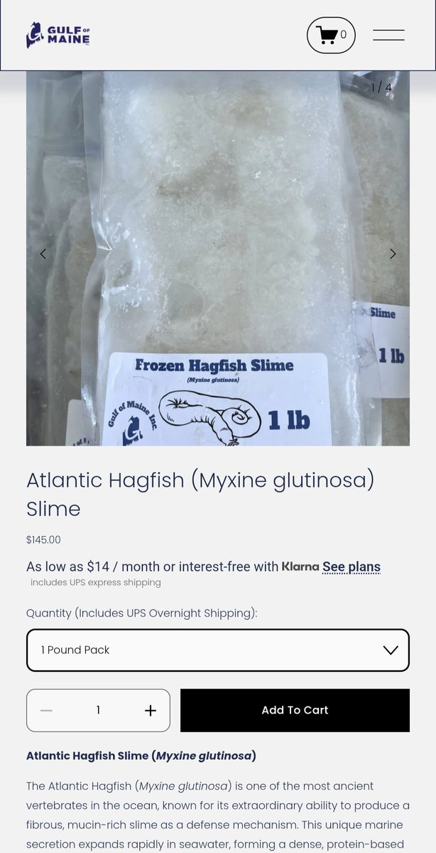 SmalltimeJones's tweet photo. good news guys i found a place where you can buy a pound of frozen hagfish slime for $145 https://t.co/Q1yg1jUFsT