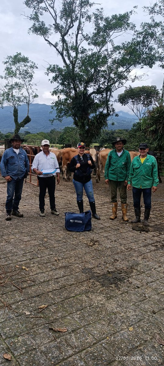 LocalProyecto's tweet photo. Trabajo en equipo por la sanidad animal, vacunadora, supervisor y ganaderos unidos por el compromiso con el campo y el bienestar de nuestra ganadería. @Fedegan @jflafaurie https://t.co/6vCjVwIosK