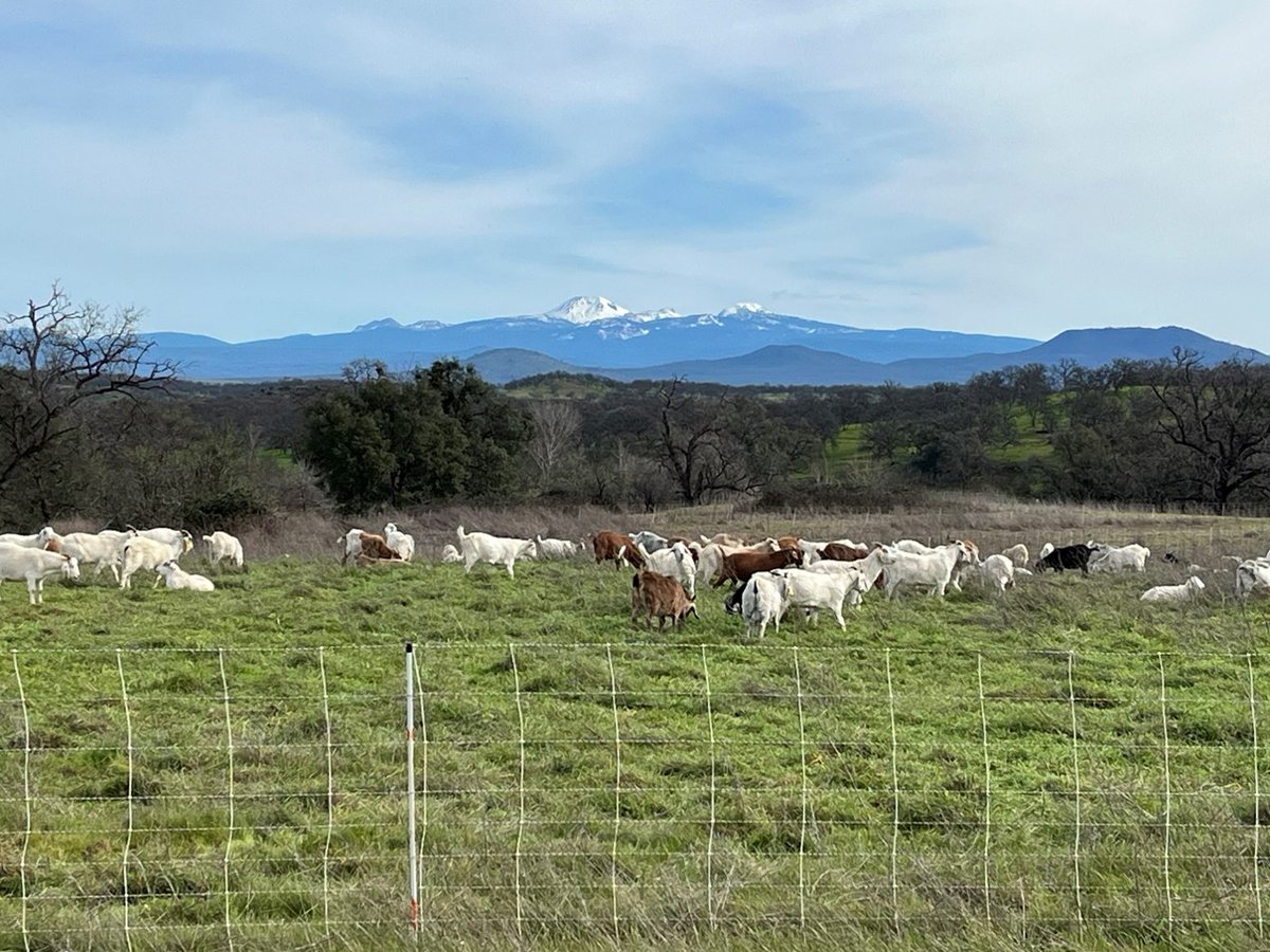 Bureau of Land Management California tweet media