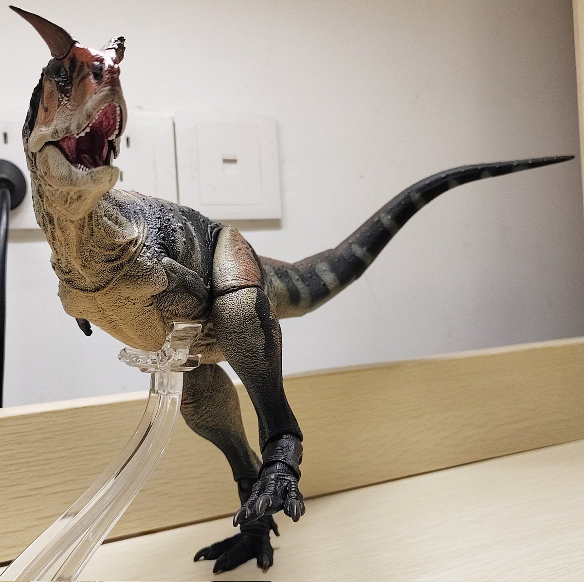 The new BOM series Carnotaurus model excels in its reconstruction, perfectly matching my imagination of what a Carnotaurus should look like. Its legs are incredibly long, and the scales have reached a level of detail that surpasses those of previous Allosaurus models.