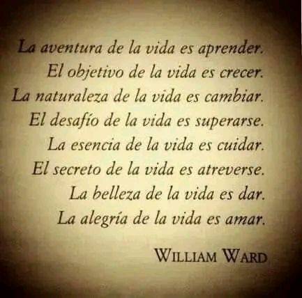 Ricardo Chávez Bruce (@rivialma) on Twitter photo 