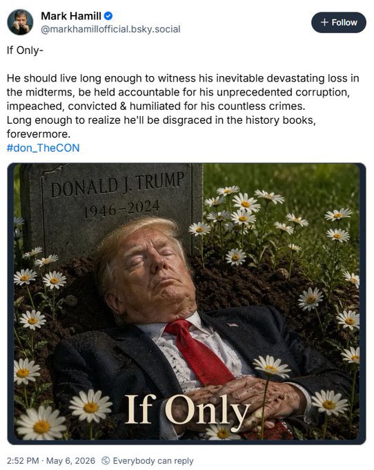 Libs of TikTok tweet media