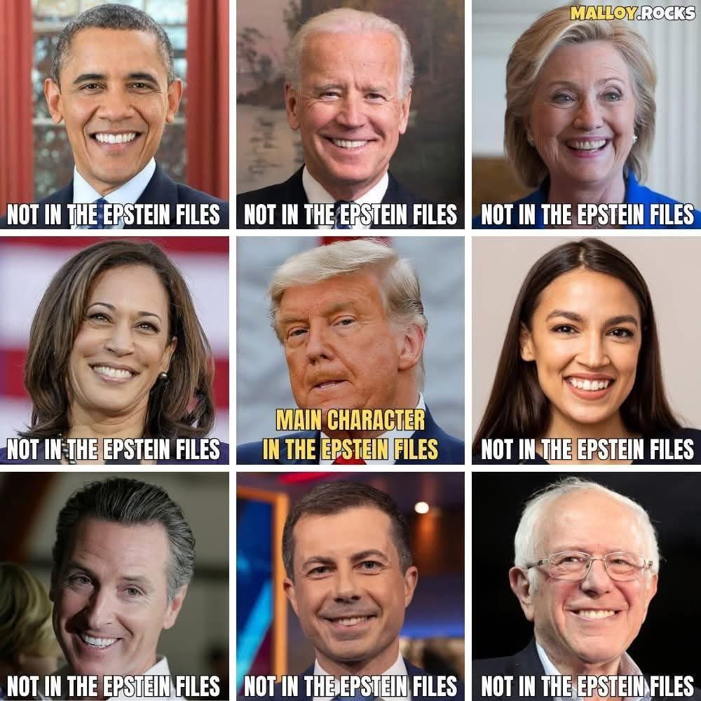 Occupy Democrats tweet media