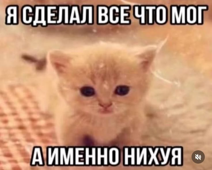 𔓘 : tweet media