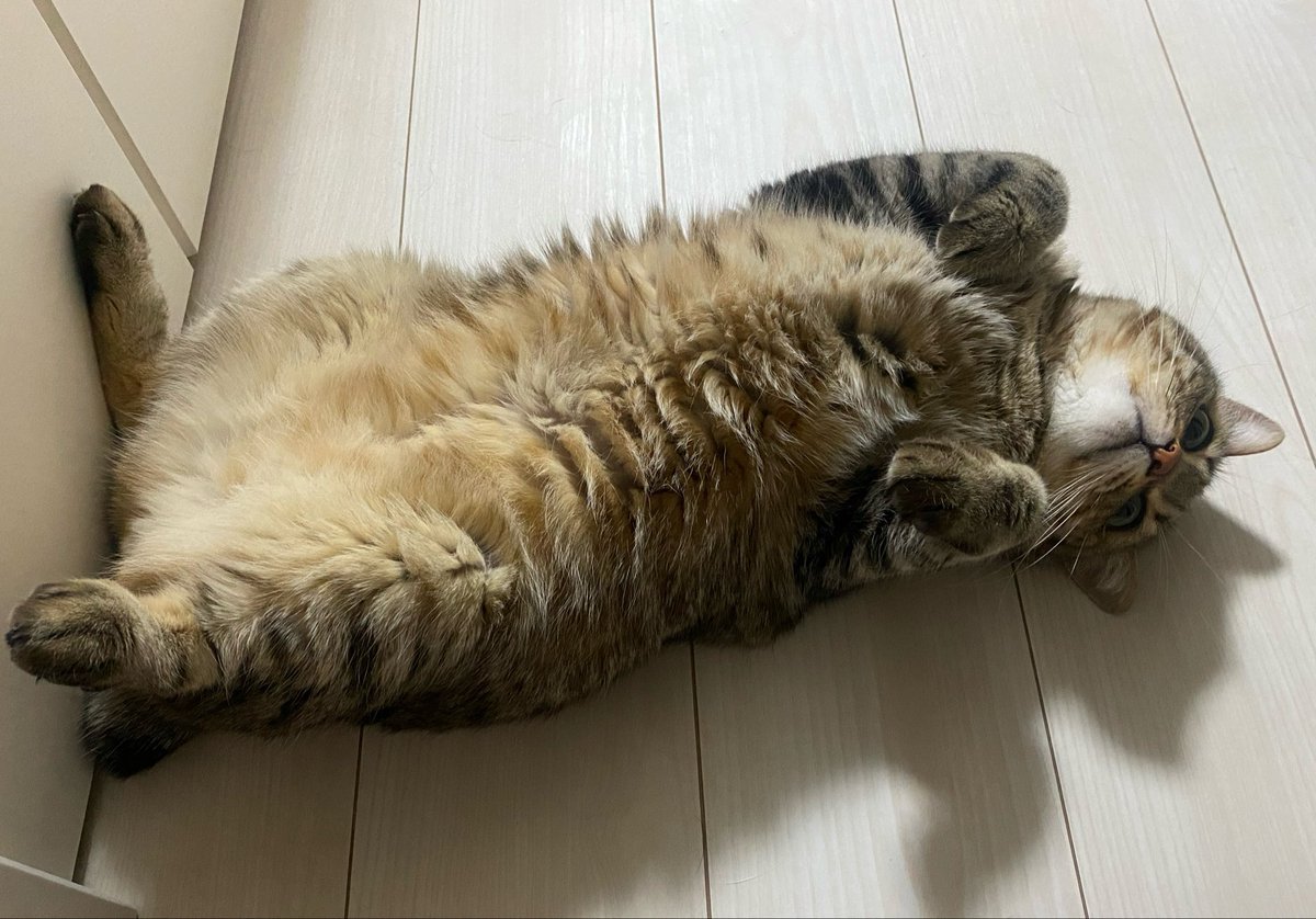 猫先生MRCAT88官网→→copy url: A1088.COM←←-最新-猫先生MRCAT88