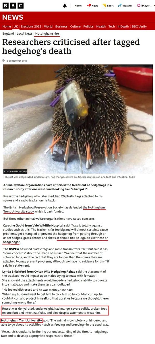Hedgehog Cabin tweet media