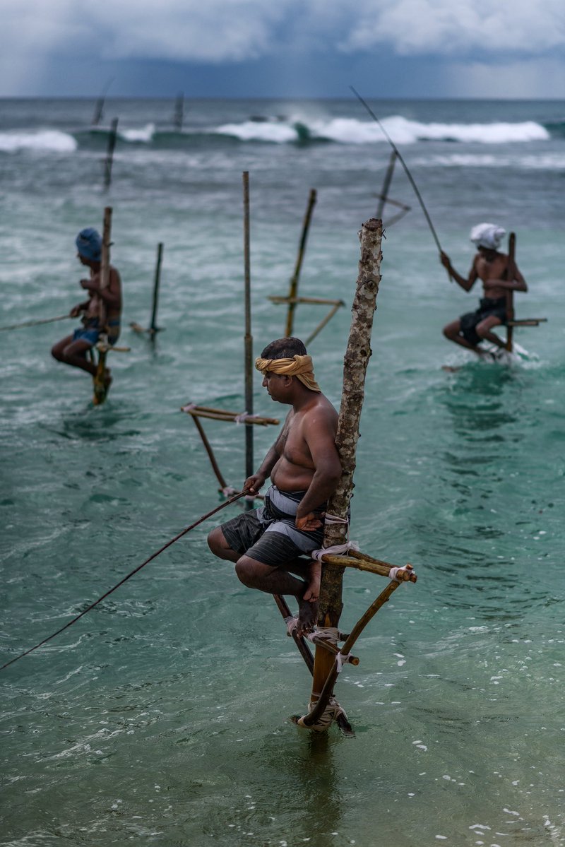 Photos I took in Sri Lanka