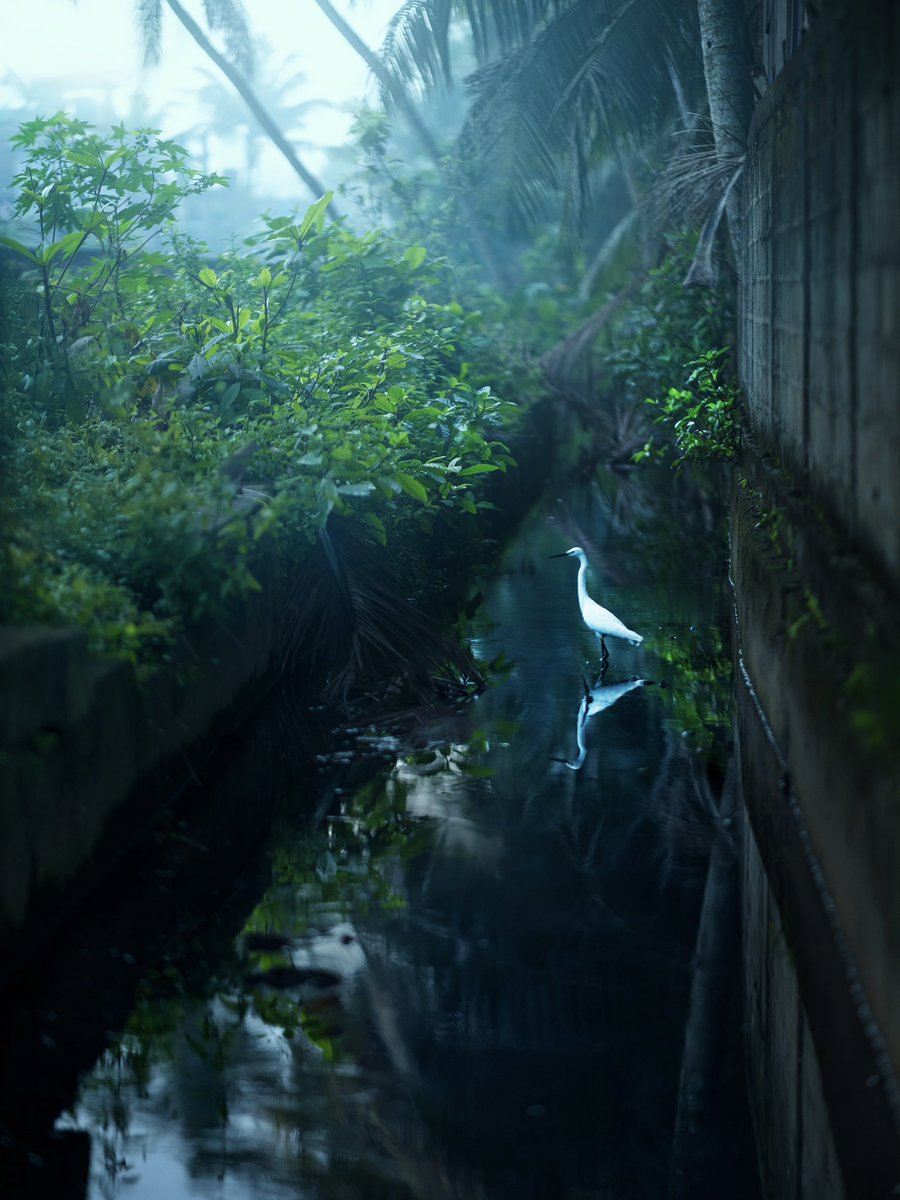 AshrafulArefin_'s tweet photo. Photos I took in Sri Lanka https://t.co/RMKjkDmZxO