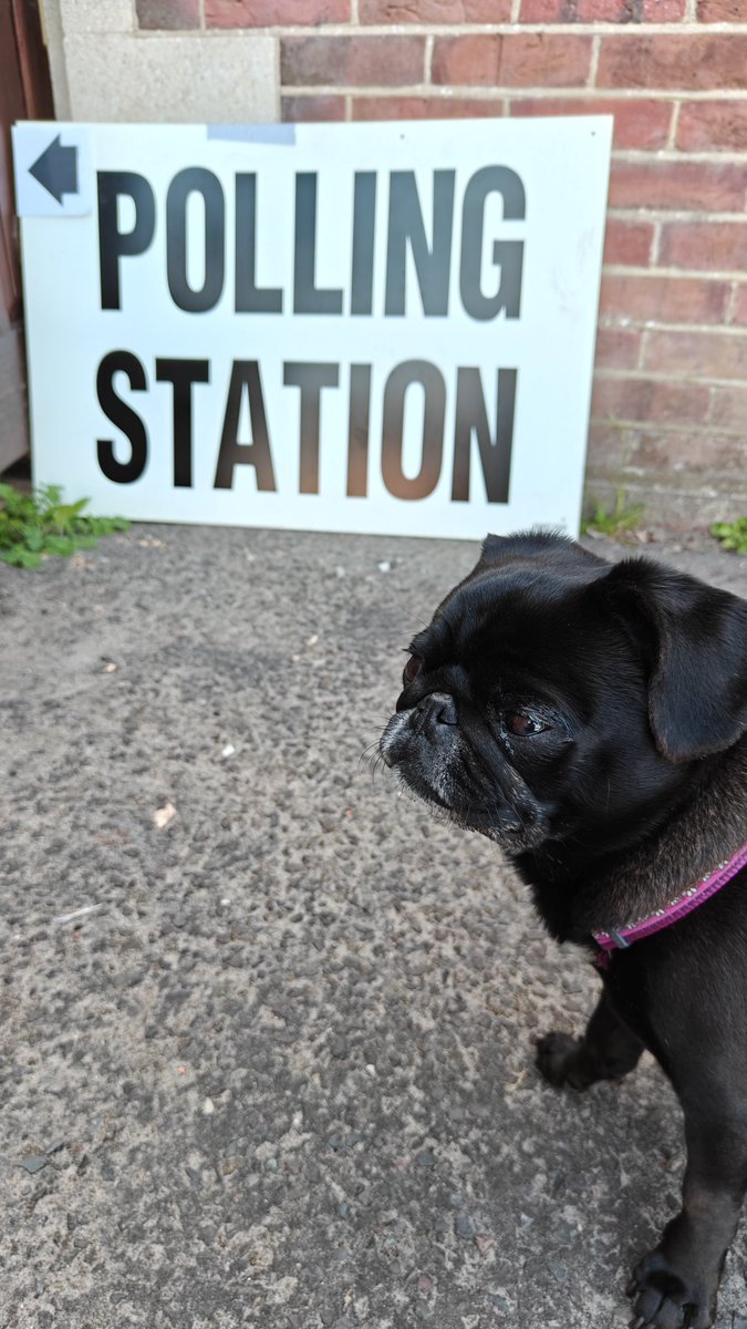 blaydzman's tweet photo. Here we go again, time to get tactical...
Oh, and Betty was keeping a lookout for wrong'uns 😁
#dogsatpollingstations 
#TacticalVoting https://t.co/nX359zmOoX