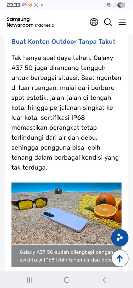 Rinasha tweet media