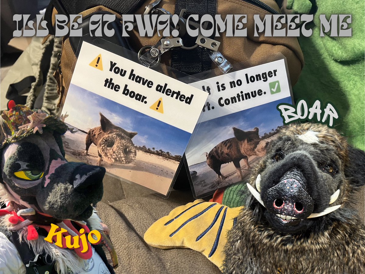🐗🐗 30-50 FERAL HOGS 🐗🐗 tweet media