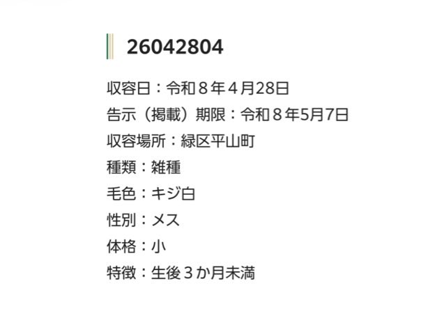🆘緊急🆘#収容猫
🆘⚠️告示期限超過⚠️
4/28(火)千葉県千葉市緑区平山町 
生後３か月未満
♀♂黒白
♀キジ白
🚨仔猫×3📲千葉市動物保護指導センター🙇🏻‍♂️
迷い/迷子/保護/ネコ/子/こねこ/サバ/トラ/シロ/三毛/市原/若葉/中央/おゆみ野/誉田/鎌取/蘇我/寺/イオン/グローボ/ハーバーシティ/公園/神社/ラーメン
