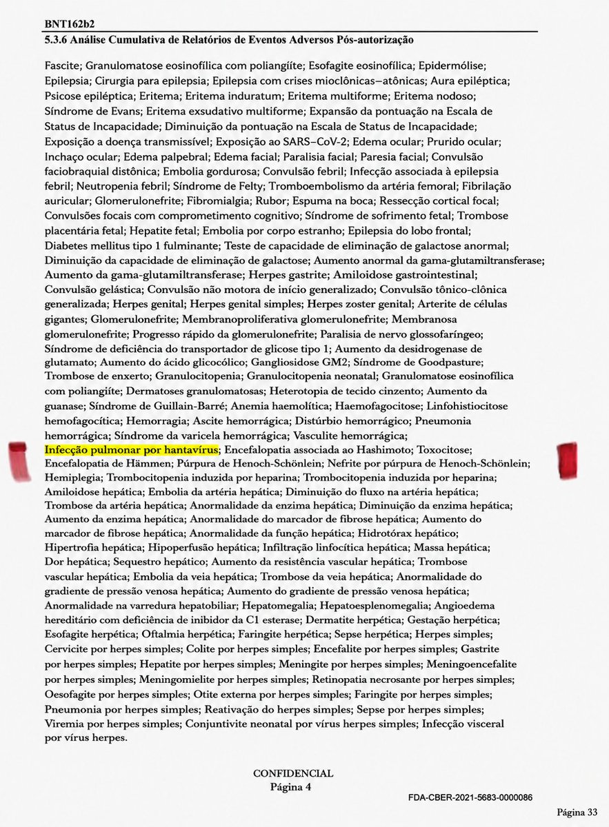 Paulo de Tarso tweet media