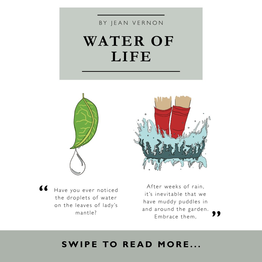 Hartleybotanic's tweet photo. Jean Vernon provides us with a with a few simple tips and explains the vital role that water plays in our gardens.

Discover more gardening hints and tips from Jean Vernon and our award-winning garden writers: https://t.co/6ASo2SrDHg
Or request a brochure: https://t.co/fyLyqXbyOt https://t.co/KMUGpJyuJo
